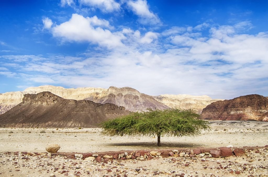israel, negev, timna park-4764747.jpg