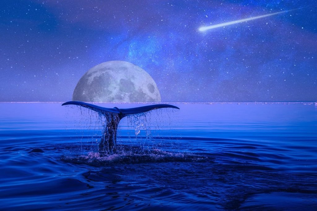 moon, stars, shooting star-2728183.jpg