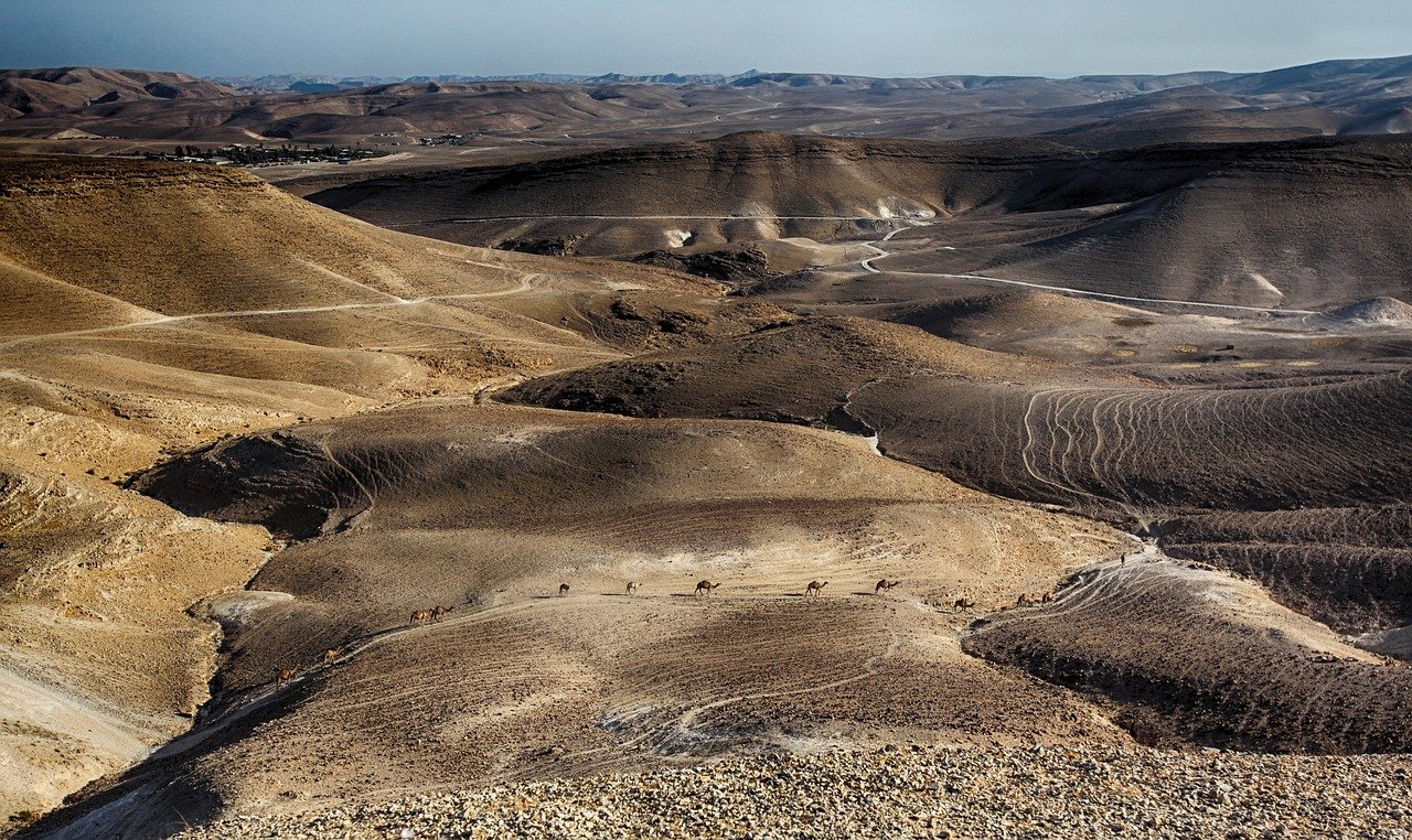 dead sea, caravan, camel-1930735.jpg