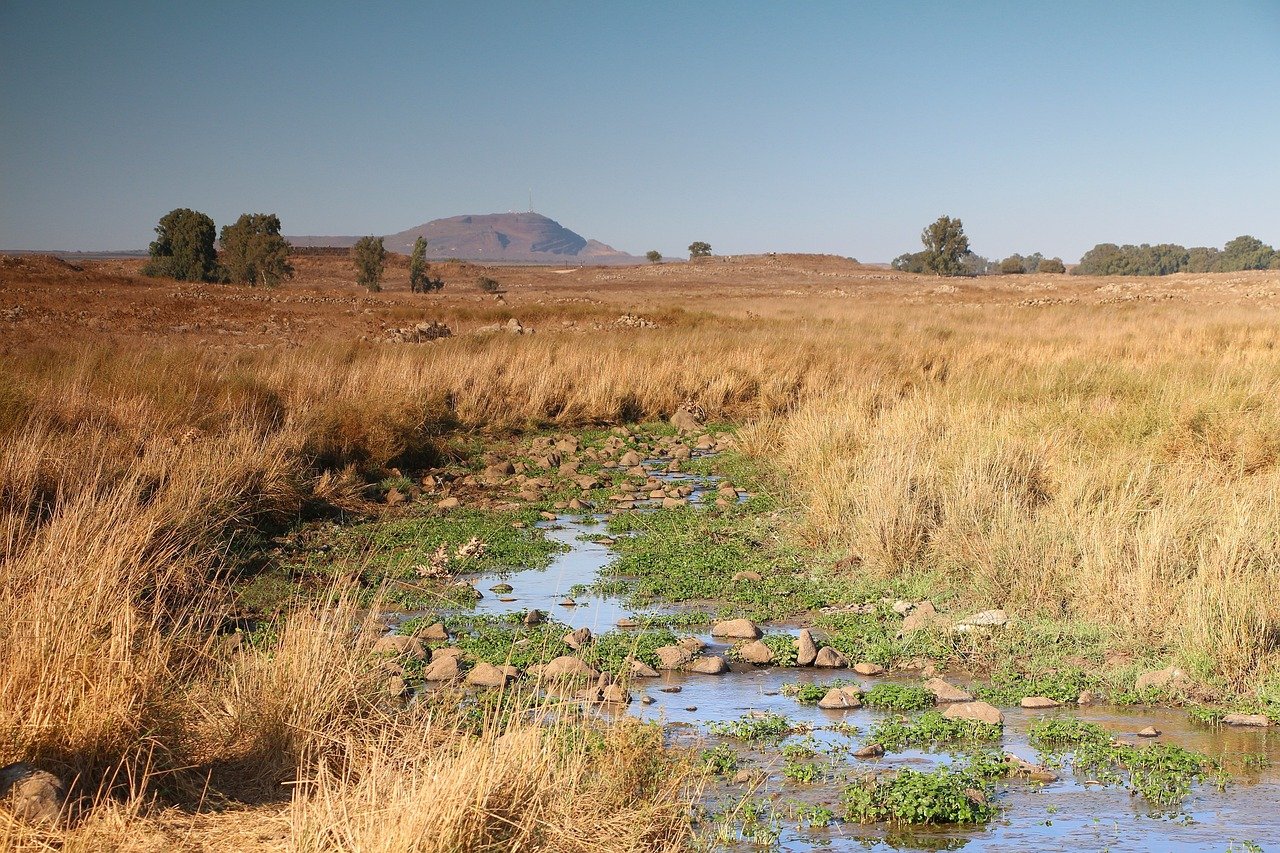 golan heights, field and stream, israel-176914.jpg
