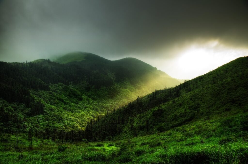 jesus light, mountain, tree, nature, grass, wugong mountain