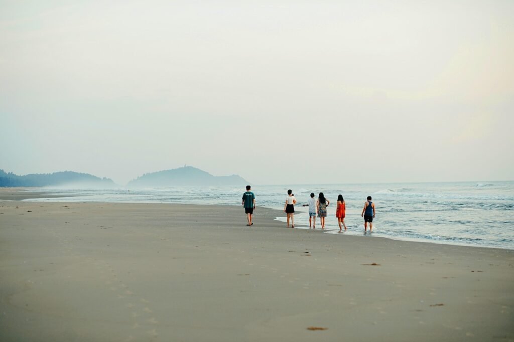 young, sea, nature, friend, outdoors, beach, friends, people